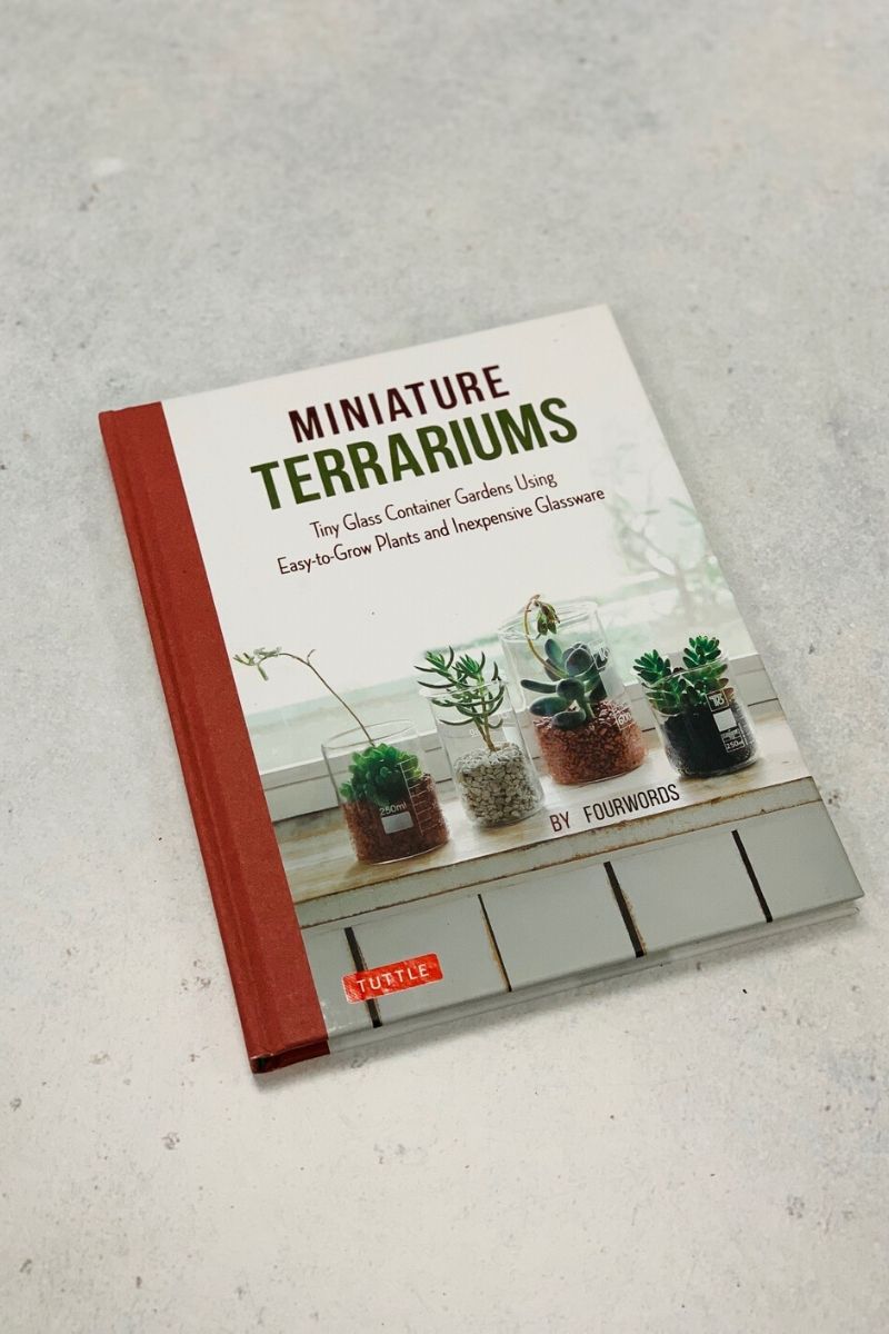 Miniature Terrariums: Tiny Glass Container Gardens Using Easy-to-Grow Plants and Inexpensive Glassware