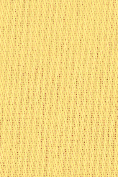 Garnier-Thiebaut Confetti Mimosa Napkin 18"