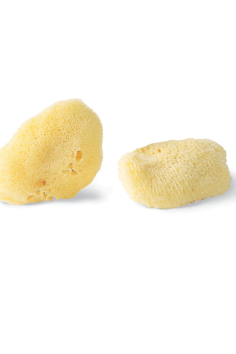 Baudelaire Silk Sea Sponge Set