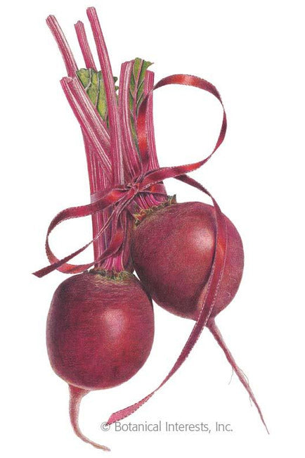 Botanical Interests Detroit Dark Red Beet Organic Seeds