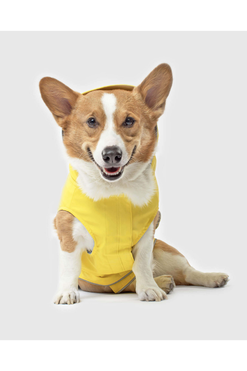 Canada Pooch Raincoat Torrential Tracker 14" Yellow