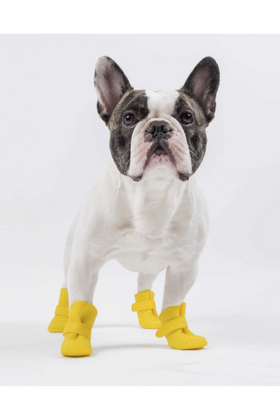 CANADA POOCH WELLIES YLW XS