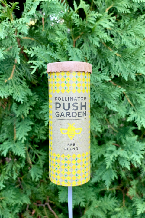 SEED, POLLINATOR PUSH GDN 1SF