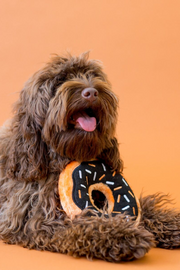 ZIPPY PAWS PUMPKIN SPICE DONUT