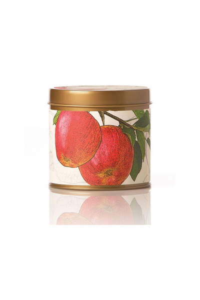 CANDLE, SIG TIN SPICY APPLE