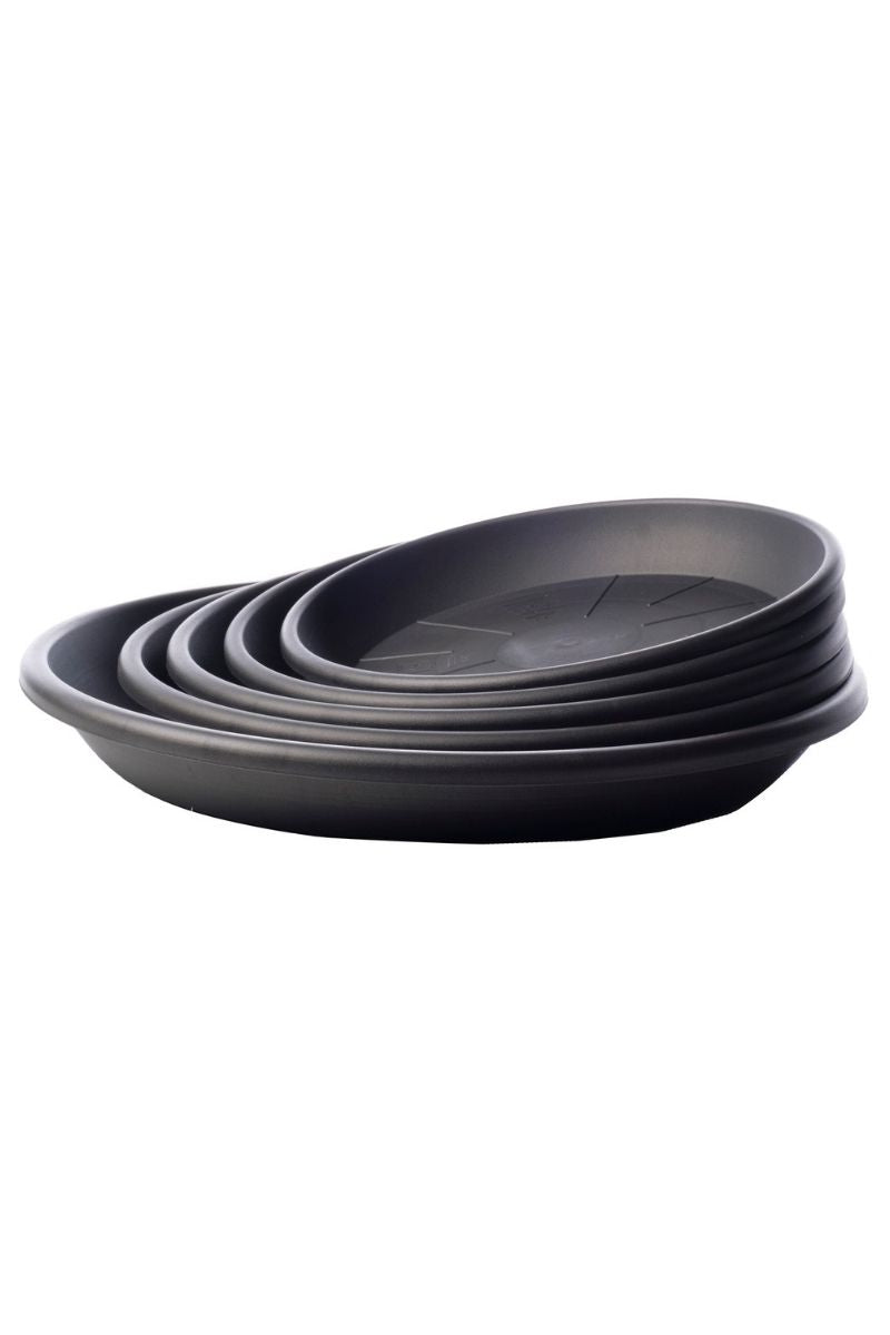 Medea Saucer Anthracite 11"