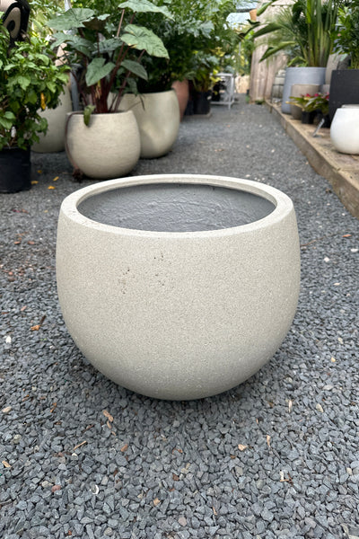 Fiberglass Haku Bowl Planter 16.5" HW