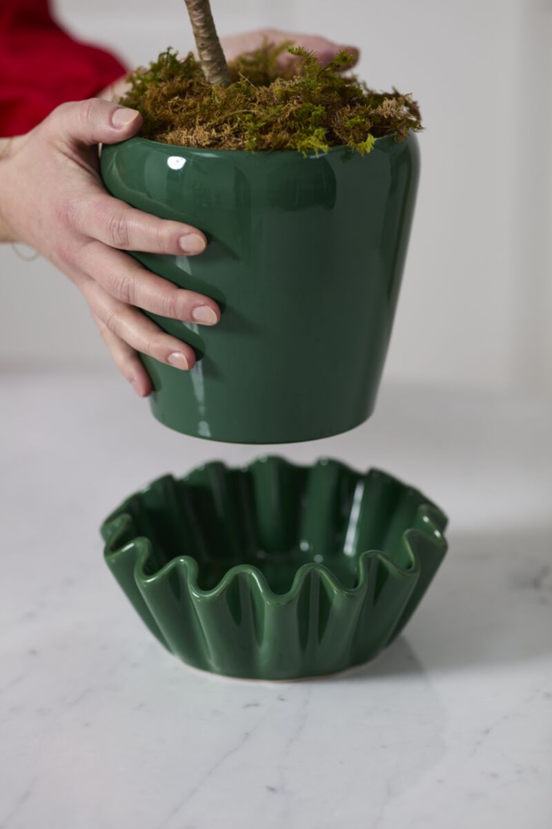 Lorelai Pot with Saucer 8"x6.75" Green