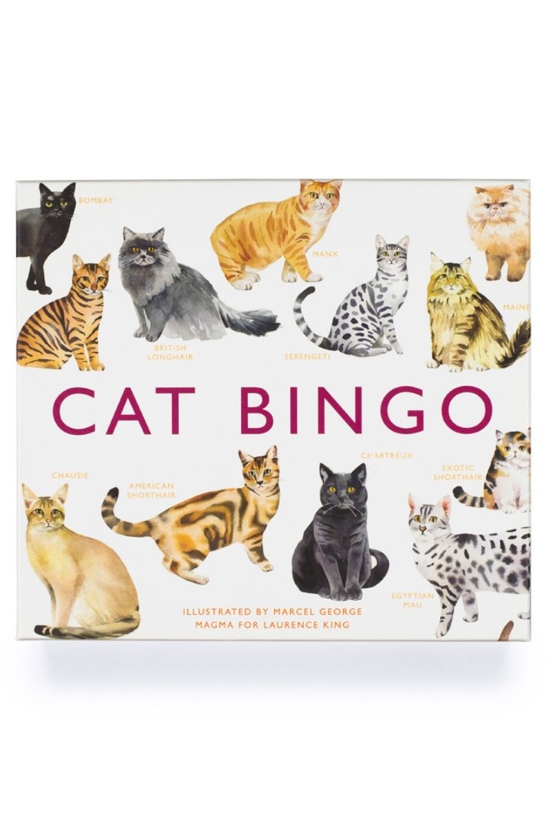 Cat Bingo Game