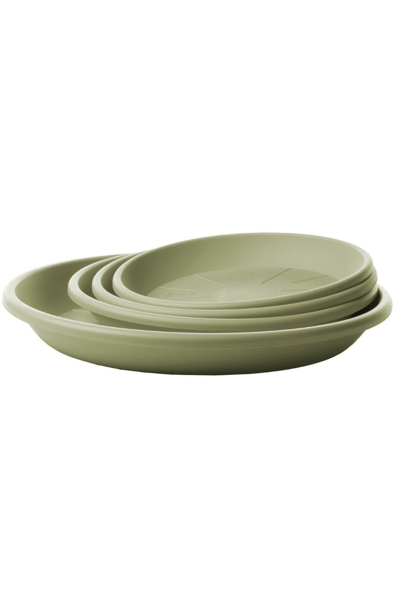 Medea Saucer 7.75" Rosemary