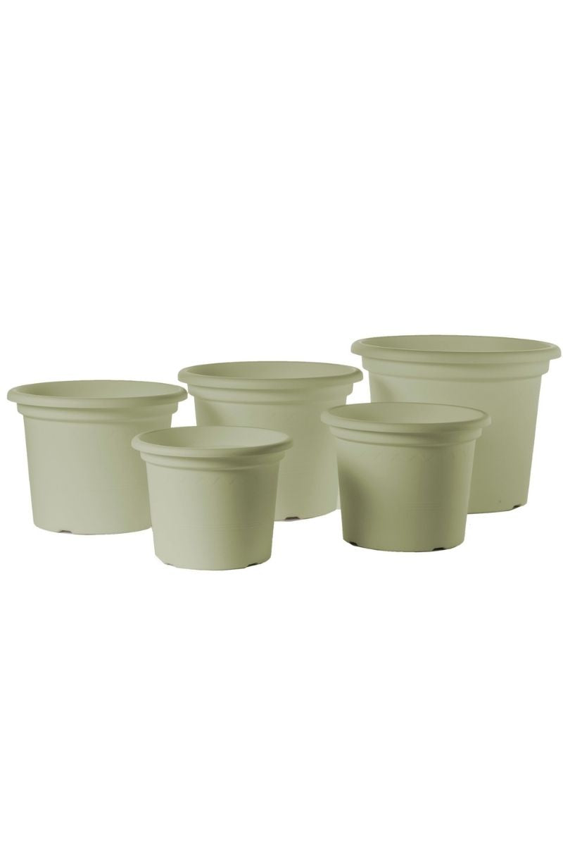 Geo Planter 13.75" Rosemary