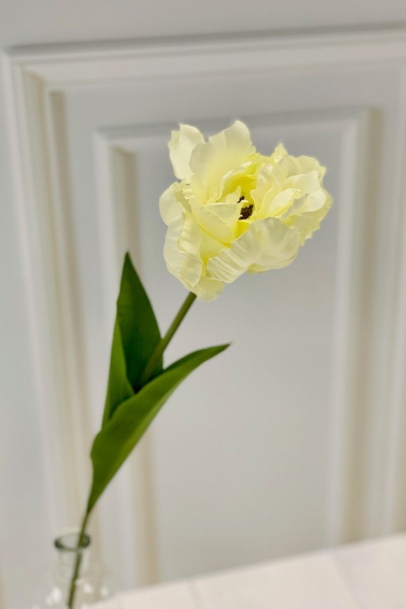 Silk Spray Parrot Tulip 26" Cr