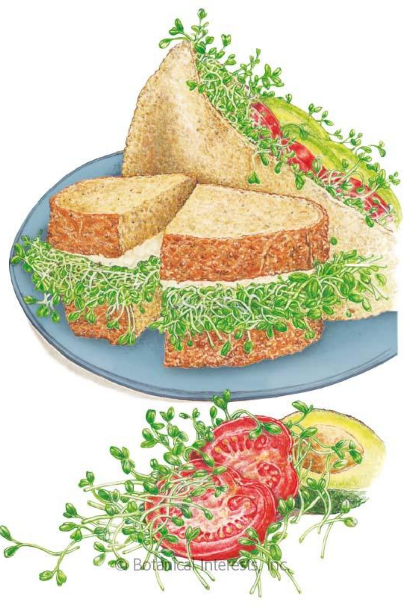 Botanical Interests Sandwich Mix Sprouts Organic Seeds