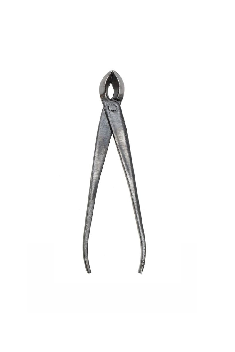 BONSAI CONCAVE TONGS