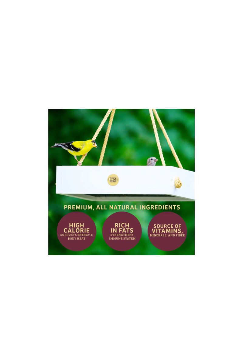 Birds Choice Bugs & Nuts Seed Cake