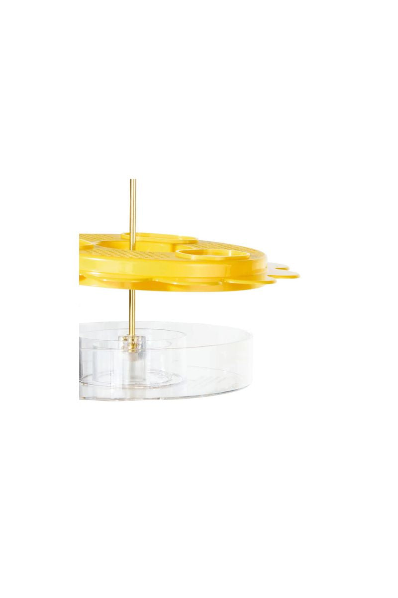 Birds Choice Flutterby Butterfly Feeder