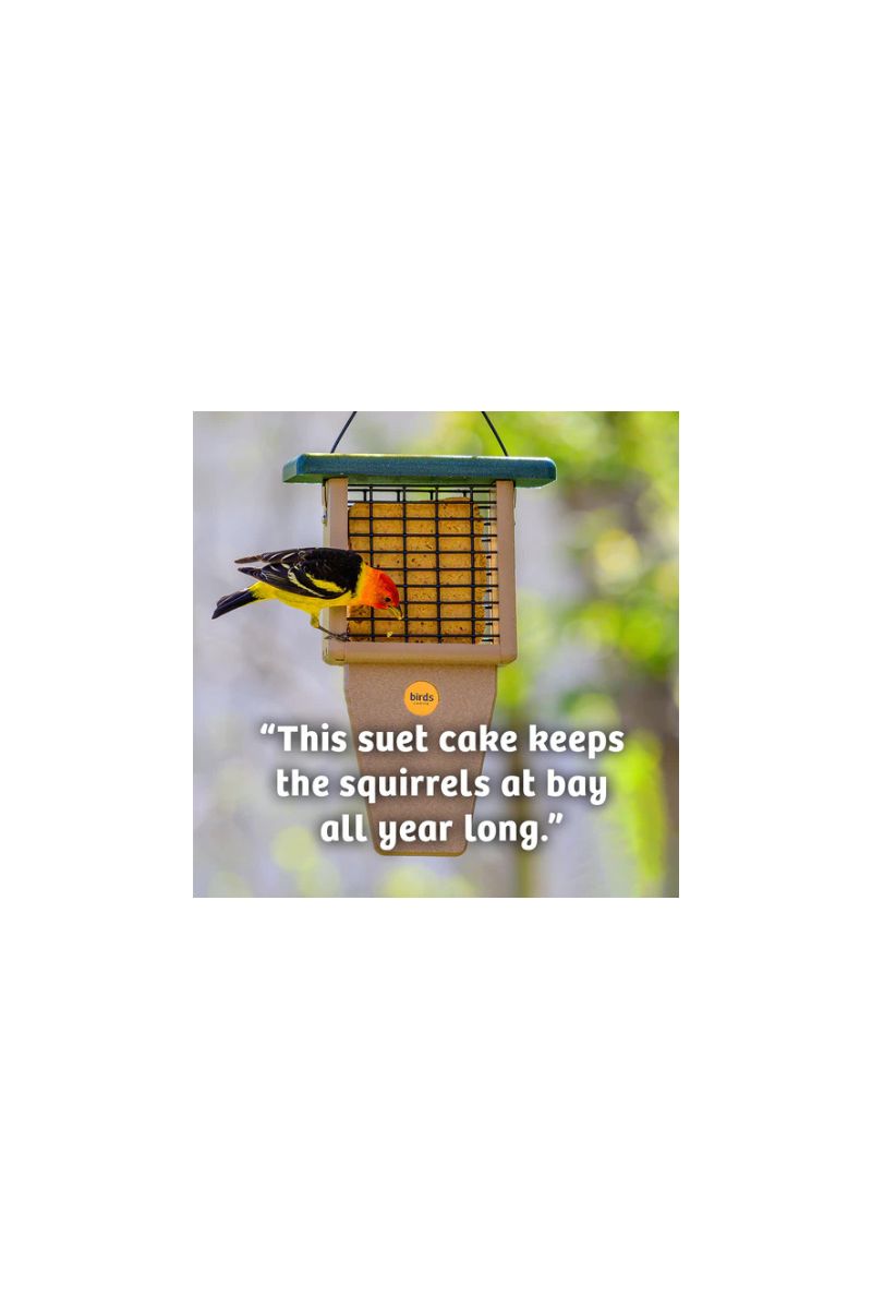 Birds Choice Hot Red Pepper No Melt Suet