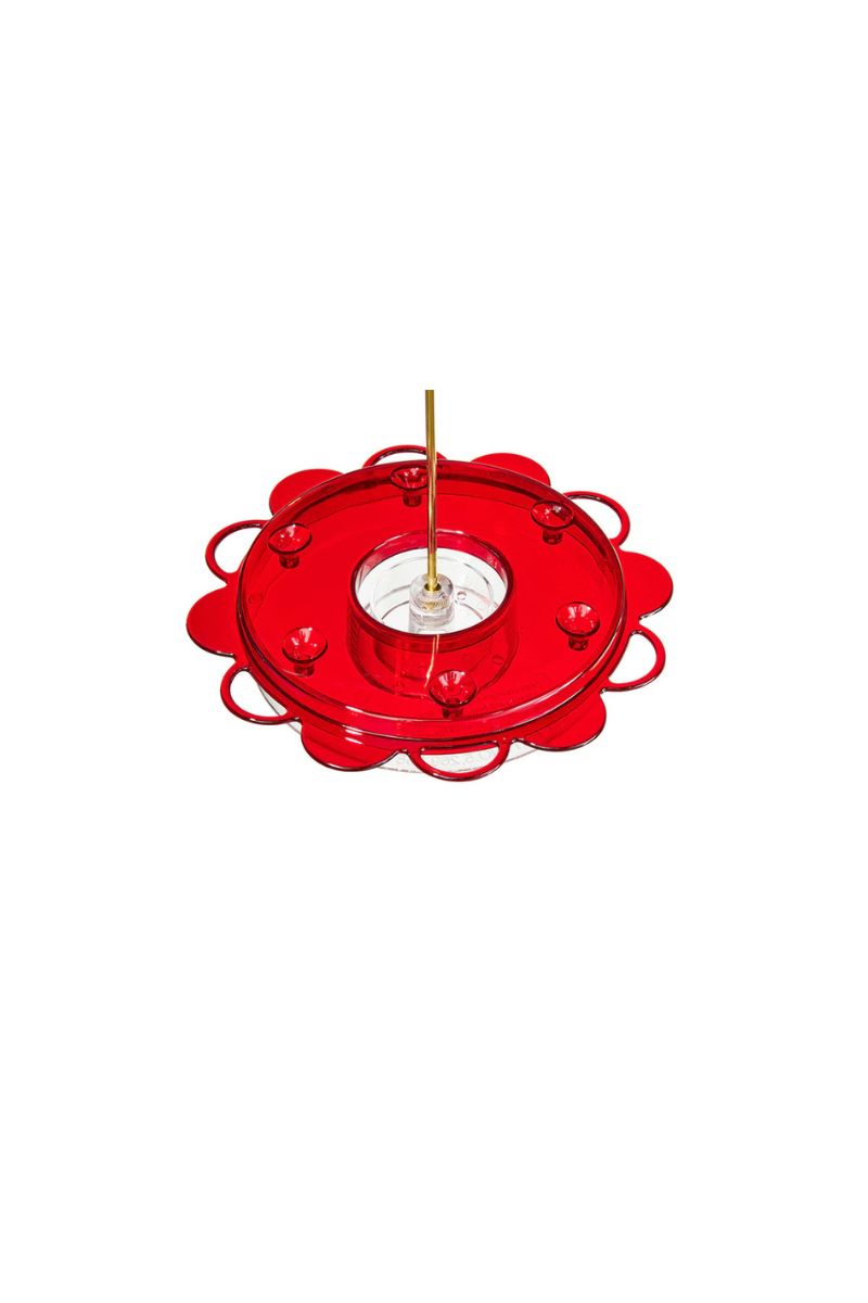 Birds Choice Hummerfest Hummingbird Feeder