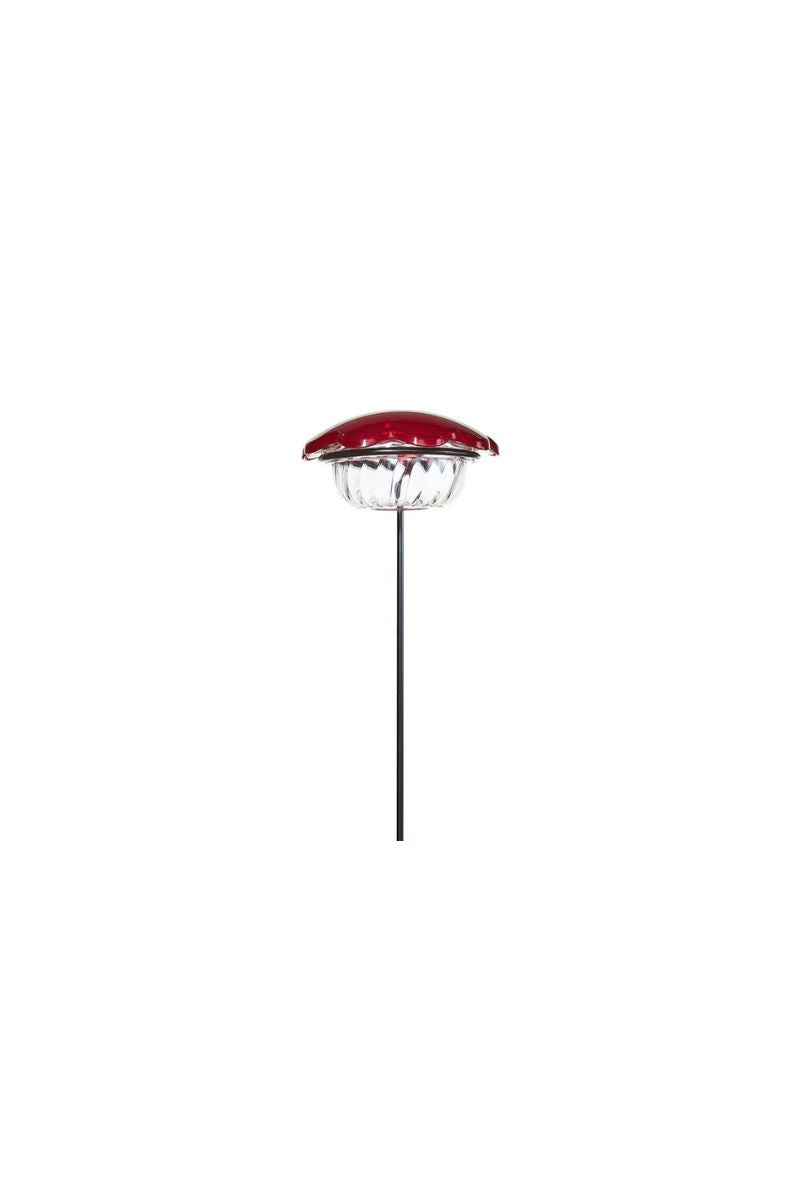 Birds Choice Hummingbird Feeder Single Cup Plant Stake