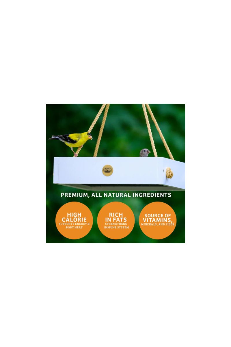 Birds Choice Trailblazin' Seed Cake