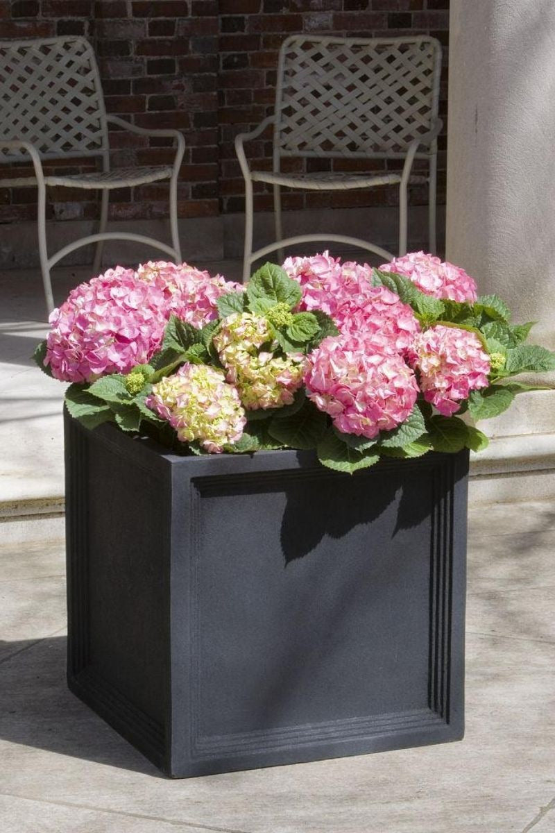 Campania Sandhurst Planter Large Onyx Black