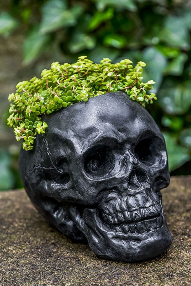 Campania Skull Planter NN