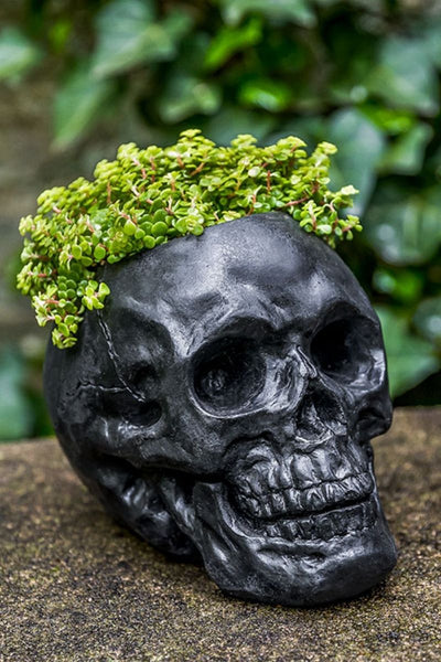 PLANTER, SKULL CONCRETE NN