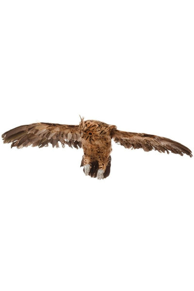 OWL FEATHER FLYING BROWN 10.25