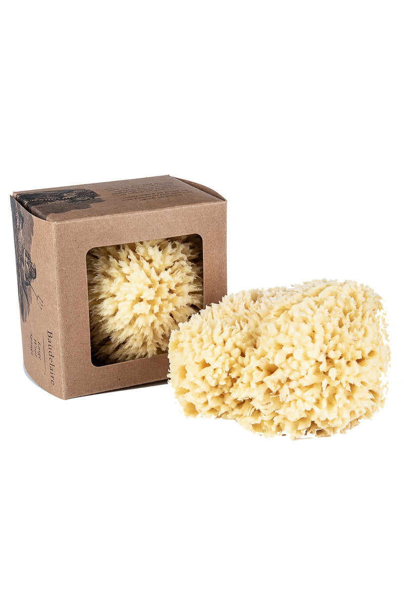 Baudelaire Wool Sea Sponge Set Large