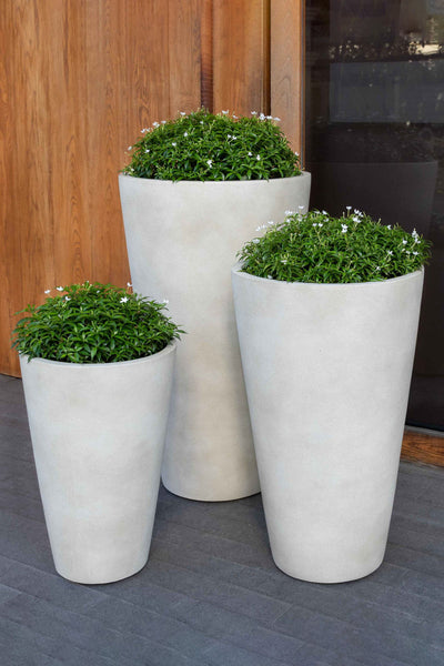 PLANTER VALLARELLA IVORY LT MD