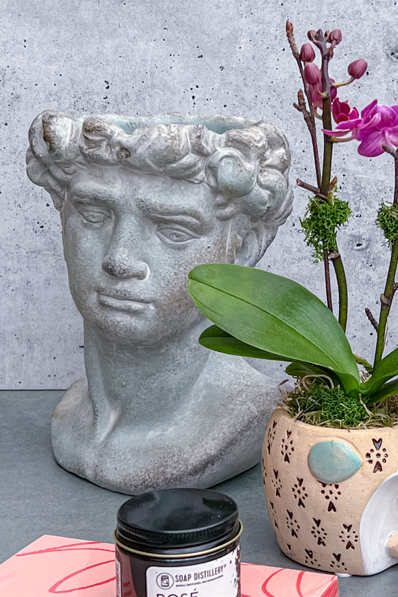 Cement Adonis Planter 5”