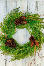 Faux Flocked Incense Cedar Cone Wreath 24" Light Two Tone Green