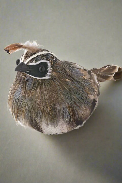 Feathered Quail 4.75"