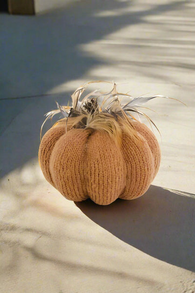 Knit Pumpkin Orange with Wood Stem and Feathers Small