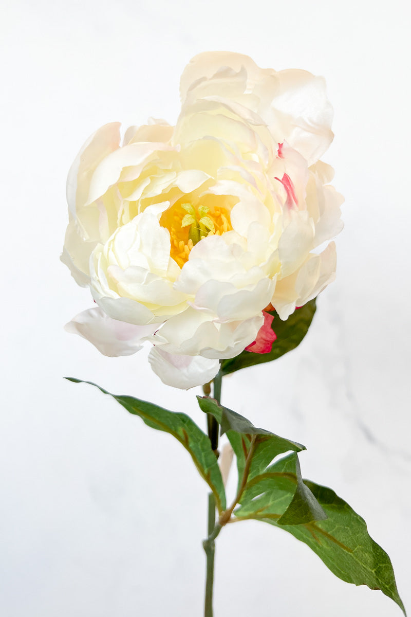 Silk Spray Peony 18.5" Cr/Bt