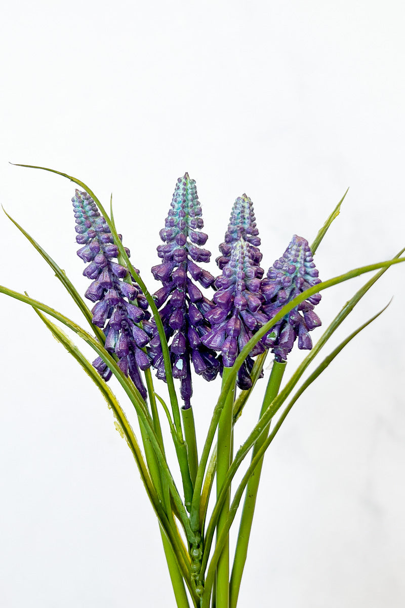 Silk Muscari Bundle X5 10" Pu