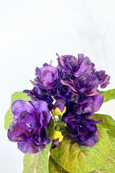 Silk Bush African Violet 8" Pu