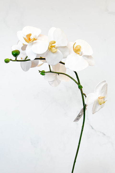 Silk Spray Phalaenopsis 24" White