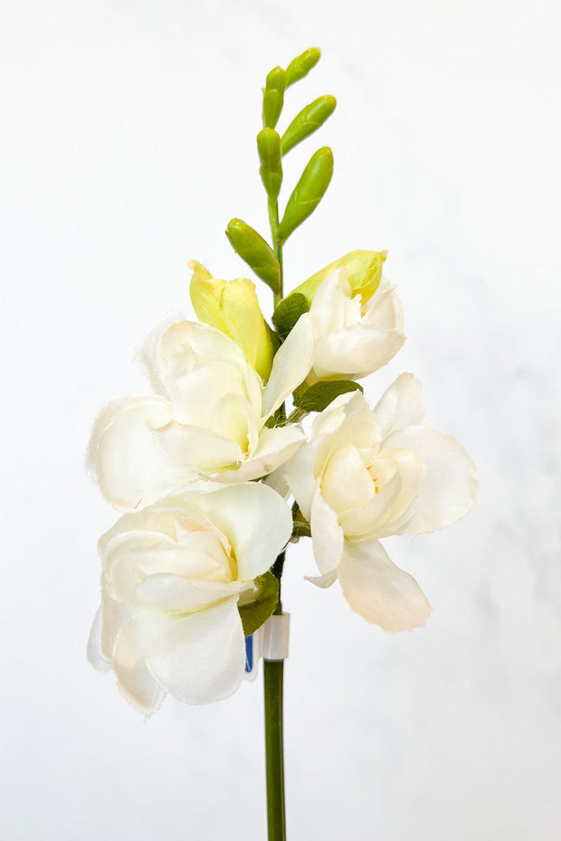 Silk Spray Freesia 22" Cr