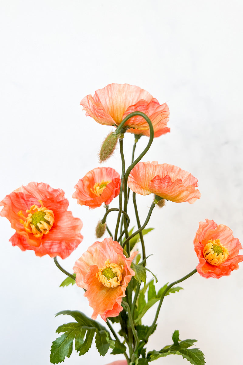 Silk, Bush Poppy X6 15" Salmon