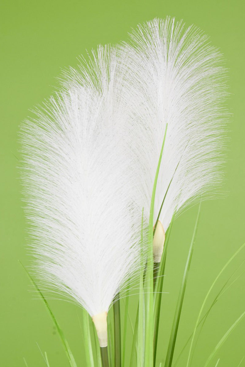 SILK BUSH REED GRASS 30"