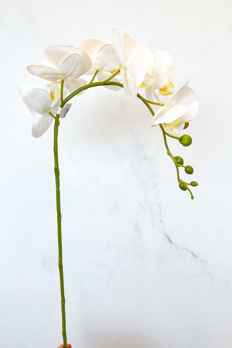 Silk Spray Phalaenopsis 33" White