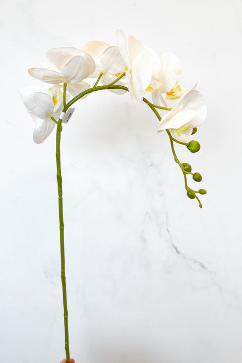 Silk Spray Phalaenopsis 33" White