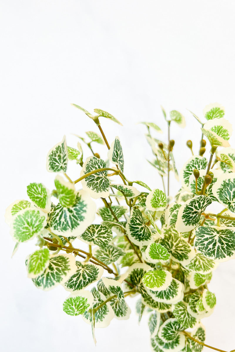 Silk Strawberry Begnia Bush 15.5"