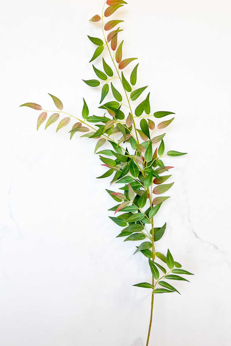Silk Italian Ruscus Leaf Spray 49