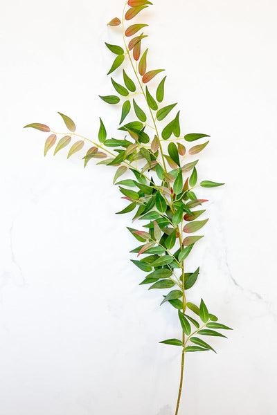 Silk Italian Ruscus Leaf Spray 49
