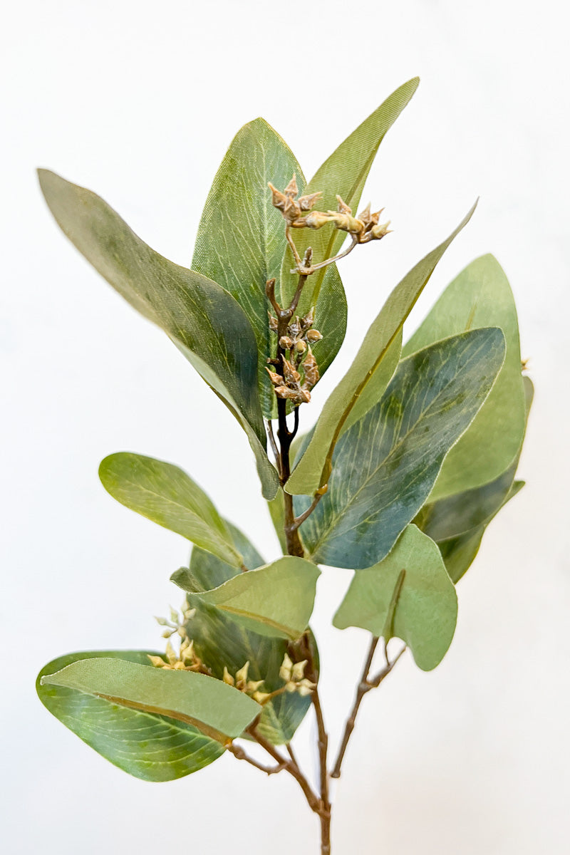 Silk Spray Eucalyptus Leaf 24.5"