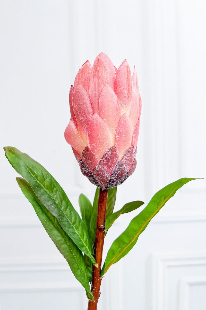 SILK STM PROTEA PINK 24"