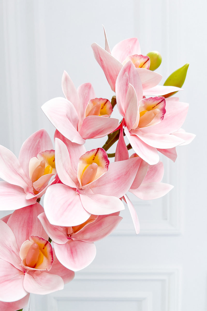 SILK SPRAY CYMBIDIUM 28"