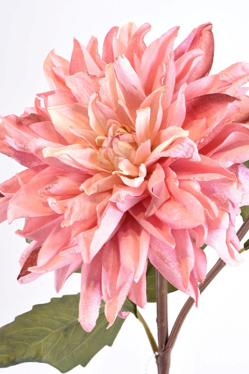 SILK DRIED DAHLIA W/BUD STM 21